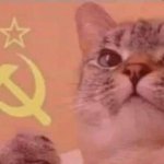 *RUSSIA ANTHEM THEME PLAYS* | image tagged in communist cat | made w/ Imgflip meme maker