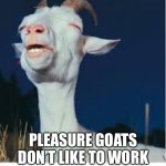 Pleasure Goat | PLEASURE GOATS DON’T LIKE TO WORK | image tagged in pleasure goat | made w/ Imgflip meme maker