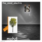 "other" mind electric temp
