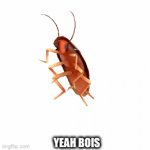 poggers | YEAH BOIS | image tagged in gifs,poggers | made w/ Imgflip video-to-gif maker