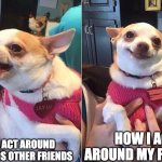 Facts | HOW I ACT AROUND MY FRIENDS; HOW I ACT AROUND MY FRIENDS OTHER FRIENDS | image tagged in angry dog meme | made w/ Imgflip meme maker