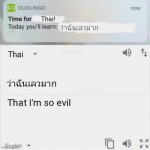 Meme example | Thai! ว่าฉันเลวมาก; Thai; ว่าฉันเลวมาก; That I'm so evil | image tagged in duolingo today you'll learn,memes | made w/ Imgflip meme maker