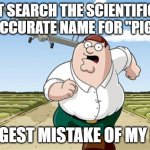 Seriously, don't | DON'T SEARCH THE SCIENTIFICALLY ACCURATE NAME FOR ''PIG''; BIGGEST MISTAKE OF MY LIFE | image tagged in don't go to x worst mistake of my life | made w/ Imgflip meme maker