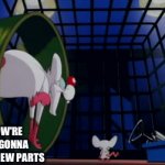 Pinky and the Brain need to repair a 3D printer | HOW'RE WE GONNA PRINT NEW PARTS; USE A SECOND 3D PRINTER; THE ONLY WAY WE CAN, PINKY | image tagged in gifs,pinky and the brain,3d printing,repair,technology | made w/ Imgflip video-to-gif maker