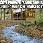 Skye and the cat witches | SKYE PROWER (SONIC COMIC SERIES): HUH? WHO’S H- HOUSE IS THIS?…. | image tagged in cabin in the woods | made w/ Imgflip meme maker