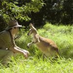 Kangaroo punches man funny JPP GIF Template