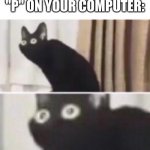 Oh no cat | POV: YOUR MOM PRESSES "P" ON YOUR COMPUTER: | image tagged in oh no cat | made w/ Imgflip meme maker