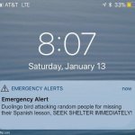 EAS IPhone Alert | Duolingo bird attacking random people for missing
their Spanish lesson, SEEK SHELTER IMMEDIATELY! | image tagged in eas iphone alert | made w/ Imgflip meme maker