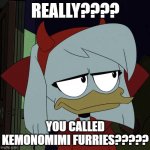 don't misunderstand ok? | REALLY???? YOU CALLED KEMONOMIMI FURRIES????? | image tagged in ducktales disappointed della | made w/ Imgflip meme maker