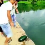 FUNNY GIF Template
