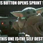 Sprint start or self destruct | THIS BUTTON OPENS SPRINT 14... AND THIS ONE IS THE SELF DESTRUCT | image tagged in baby yoda button,sprint,agile | made w/ Imgflip meme maker