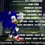 sayonara shadow the hedgehog