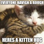 a hug from me ? | FOR EVERYONE HAVIGN A ROUGH DAY; HERES A KITTEN HUG | image tagged in hug cats,wholesome,fresh memes | made w/ Imgflip meme maker