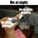 Orange cat usually win | Me at night:; Me wanting to sleep; My urge to pee | image tagged in two cats fighting for real,pee,sleep,urge | made w/ Imgflip meme maker
