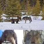 Bear and Wolf staring at eachother | ME; MY MOM; MY GOALS: LAUNDRY, DISHES, SOME CLEANING, MAKING SUPPER.. ECT; DON’T PUNCH ANNOYING PEOPLE (OPTIONAL) | image tagged in bear and wolf staring at eachother | made w/ Imgflip meme maker