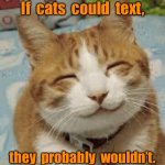 If cats could text | If  cats  could  text, they  probably  wouldn’t. | image tagged in happy cat,if a cat could,text,they would not,fun | made w/ Imgflip meme maker