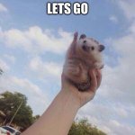 Lets Go! | LETS GO | image tagged in lets go,adorable | made w/ Imgflip meme maker