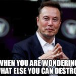 When you are wondering what else you can destroy | WHEN YOU ARE WONDERING WHAT ELSE YOU CAN DESTROY | image tagged in elon musk,funny,business,twitter,x,tesla | made w/ Imgflip meme maker