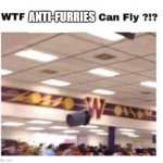 Flies | ANTI-FURRIES | image tagged in wtf --------- can fly | made w/ Imgflip meme maker