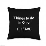 That is some good advice | image tagged in good advice pillow | made w/ Imgflip meme maker