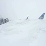 Airplane Covered in Snow
