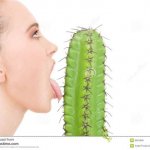 Cactus licking stock photo template
