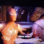 Spiderman now what meme