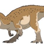 Ceratosaurus (Female)