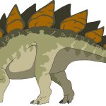 Stegosaurus (Male)