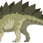 Stegosaurus (Female)