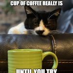 afternoon cup of coffee | YOU NEVER REALIZE HOW IMPORTANT AN AFTERNOON CUP OF COFFEE REALLY IS; UNTIL YOU TRY TO GO WITHOUT ONE | image tagged in coffee cat | made w/ Imgflip meme maker