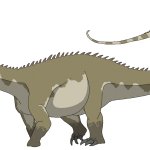 Diplodocus (Female)