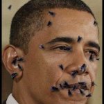 The Flies Know meme