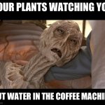 So true though | YOUR PLANTS WATCHING YOU; PUT WATER IN THE COFFEE MACHINE | image tagged in alien dying,meme,memes,funny,fun,funny memes | made w/ Imgflip meme maker