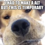Yeah uh | I HAD TO MAKE A ALT BUT THIS IS TEMPORARY | image tagged in doggo bruh | made w/ Imgflip meme maker