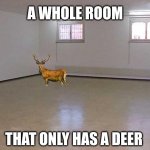 worst zone of the earth | A WHOLE ROOM; THAT ONLY HAS A DEER | image tagged in empty room,funny,memes | made w/ Imgflip meme maker