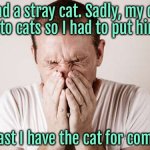 I found stray cat | I found a stray cat. Sadly, my dad is allergic to cats so I had to put him down. At least I have the cat for comfort. | image tagged in big sneeze,dad allergic to cats,had to put him down,still got cat,for comfort,fun | made w/ Imgflip meme maker