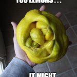 When life gives you lemons, by dyslectic about it and eat melons. | WHEN LIFE GIVES YOU LEMONS . . . . . . IT MIGHT JUST BE IN CEST | image tagged in mutant lemon | made w/ Imgflip meme maker