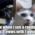 :0 | me when i see a random has 0 views with 1 upvote | image tagged in omg cat,what | made w/ Imgflip meme maker