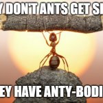 Daily Bad Dad Joke August 4, 2023 | WHY DON'T ANTS GET SICK? THEY HAVE ANTY-BODIES. | image tagged in heavy lifting ant | made w/ Imgflip meme maker