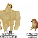 Me at the gym | WHAT I REALLY LOOK LIKE; WHAT I THINK I LOOK LIKE WORKING OUT | image tagged in big dog small dog | made w/ Imgflip meme maker