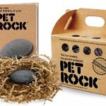 Pet Rock