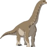 Brachiosaurus (Female)