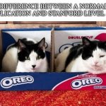 Gotta a write a good college essay this time! | DIFFERENCE BETWEEN A NORMAL APPLICATION AND STANFORD LEVEL APP | image tagged in the oreo cats | made w/ Imgflip meme maker