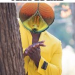 Black guy with fly head hiding behind tree | FLIES BE LIKE | image tagged in black guy with fly head hiding behind tree | made w/ Imgflip meme maker