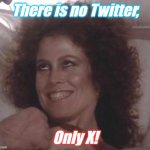 No Dana; only ZUUL | There is no Twitter, Only X! | image tagged in no dana only zuul | made w/ Imgflip meme maker