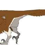 Velociraptor (Female)