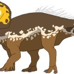 Protoceratops (Male)