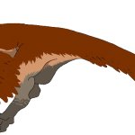 Utahraptor (Female)