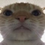 when i open snap